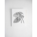 CUADRO 2 | 23x30 MONSTERA LÍNEAS 