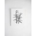 CUADRO 2 | 23x30 PLANTA LÍNEAS 